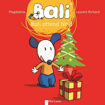 Bali  : Bali attend Noël