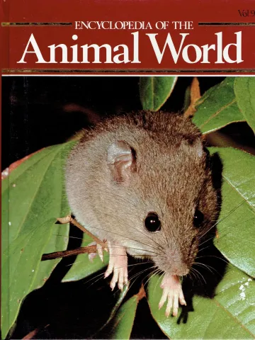 Encyclopedia of the animal world Following response - Goldcrest Vol 9