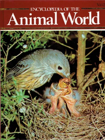 Encyclopedia of the animal world Kiwi - Lyre-tails Vol 12