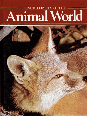 Encyclopedia of the animal world Hoopoe - Kittiwake Vol 11