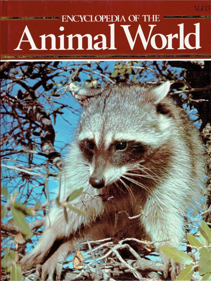 Encyclopedia of the animal world Macaques - Moose Vol 13