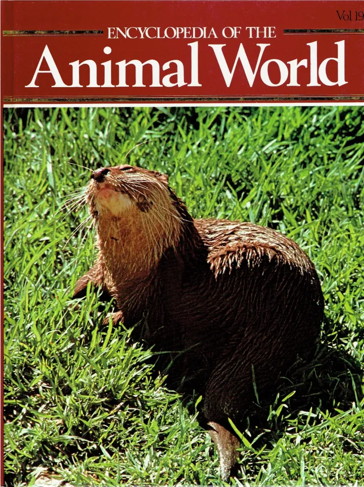 Encyclopedia of the animal world Stargazers - Titis Vol 19