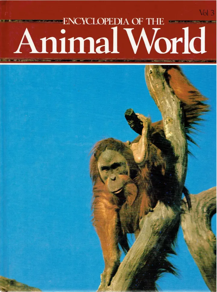 Encyclopedia of the animal world Biological control - Bull snakes Vol 3