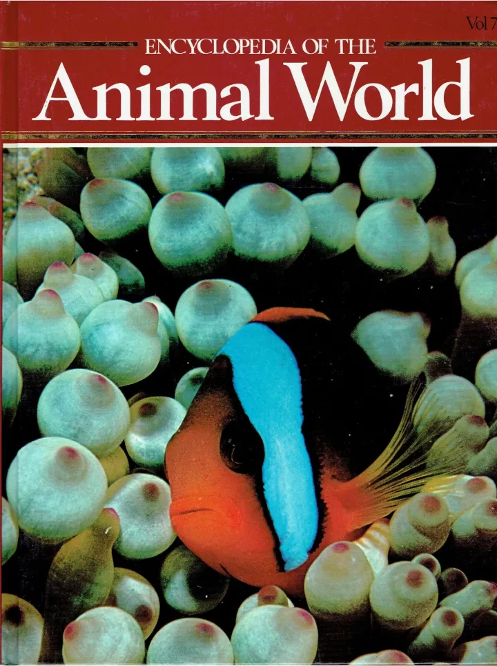 Encyclopedia of the animal world Dog - Environment Vol 7