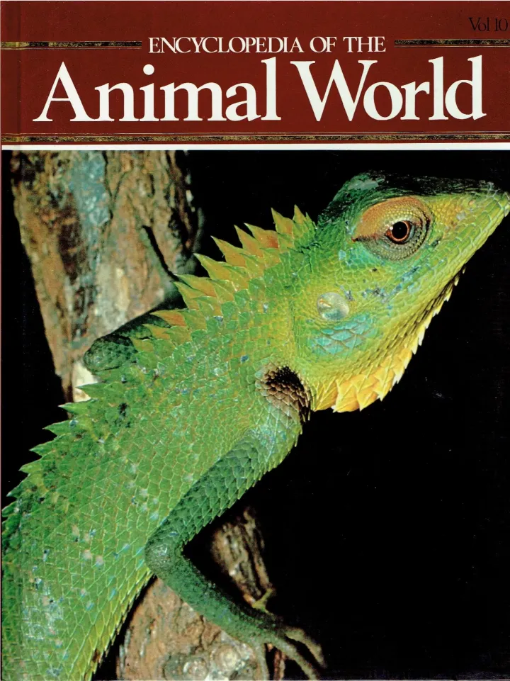 Encyclopedia of the animal world Golden eagle - Hookworms Vol 10